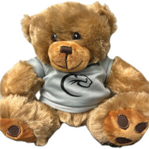 Big Paw Bear | Cougar