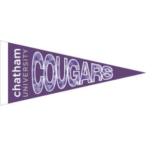 8" x 18" Pennant | Chatham University Cougars
